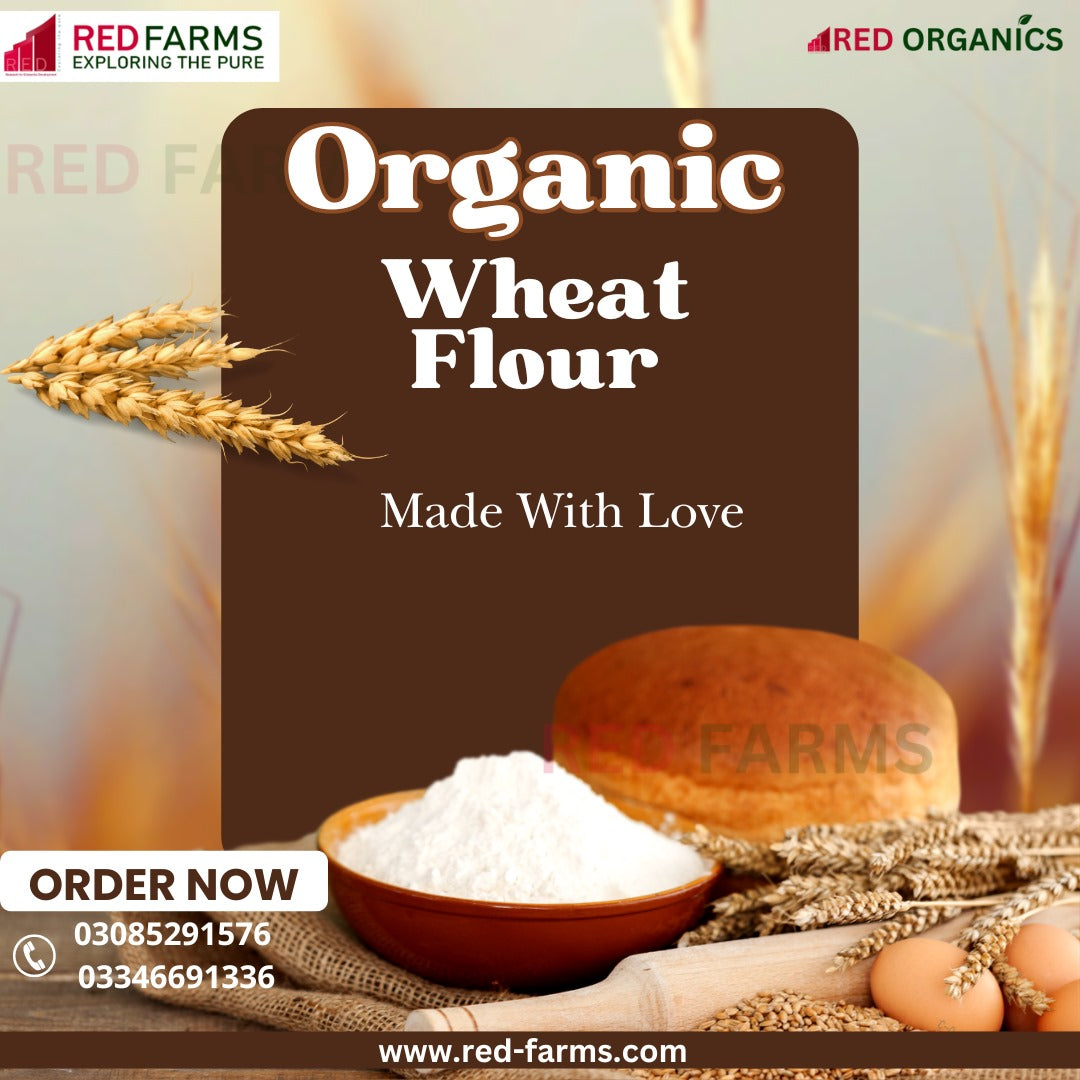 Whole-Wheat Aata