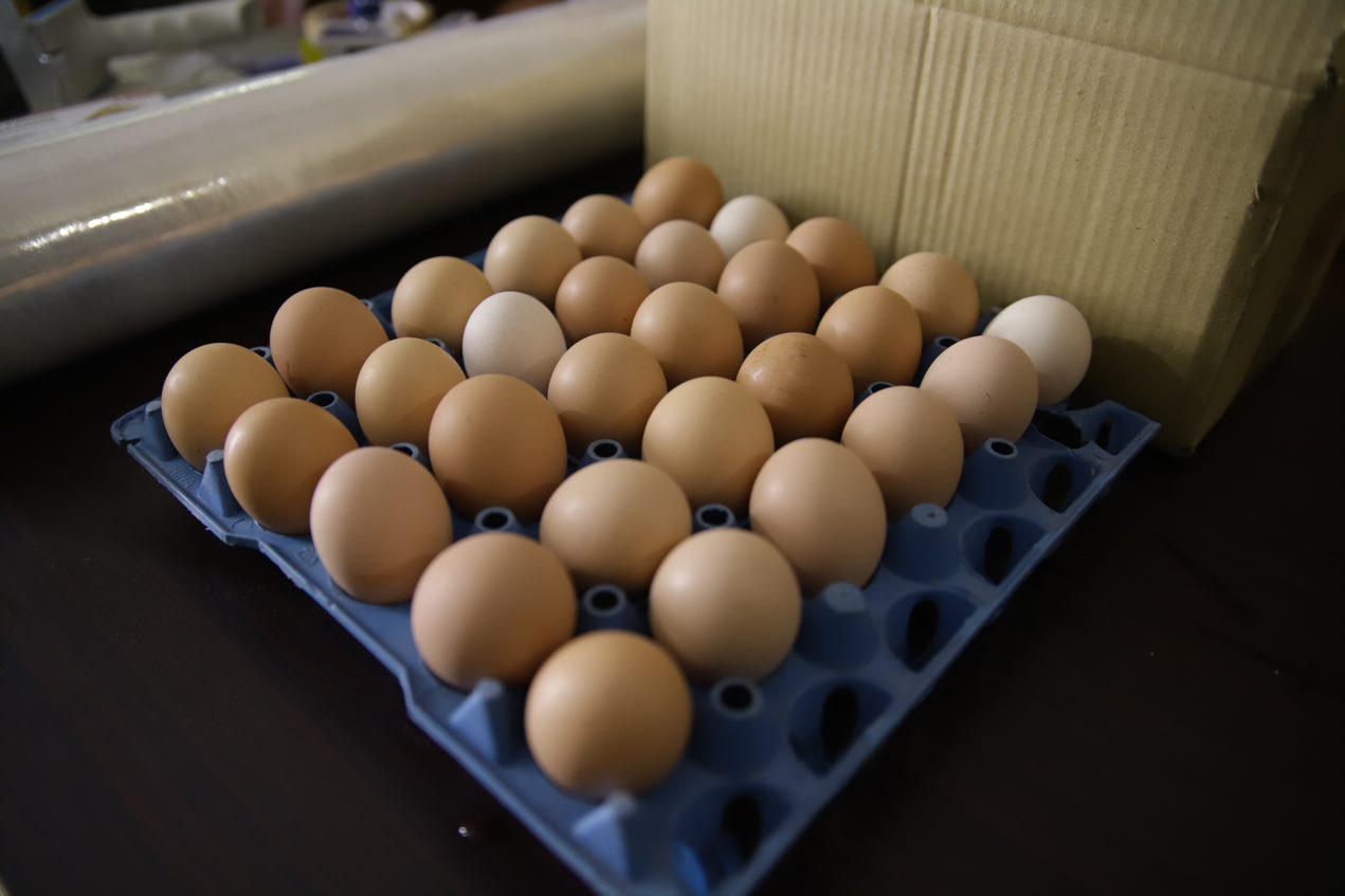DESI EGGS