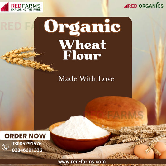 Whole-Wheat Aata