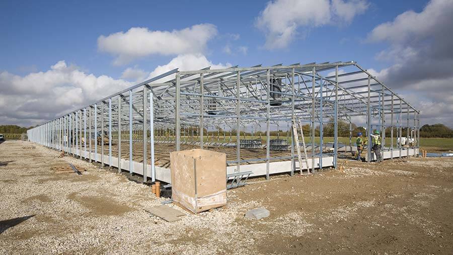 Red Farm-poultry-shed-construction.